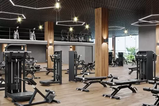 Empty gym with clean equipment and machines.